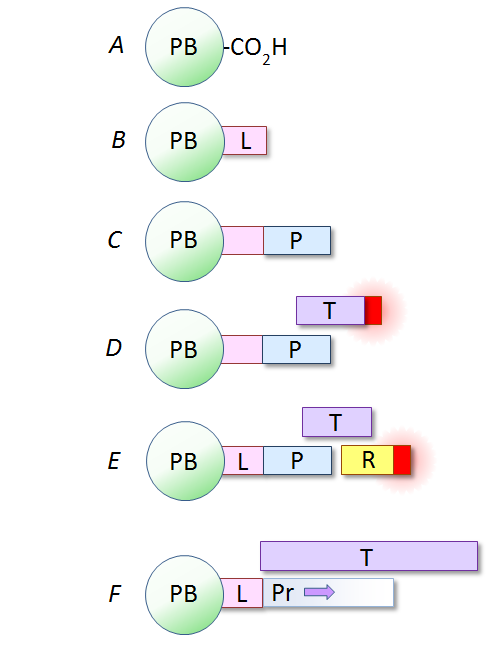 Facile means to multiplex hybridization or any nucleic acid-based assay